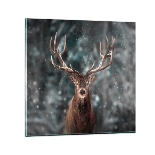 Quadro em vidro - O rei coroado da floresta - 30x30 cm