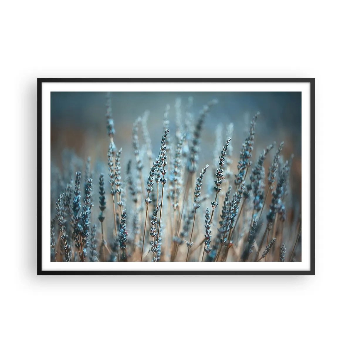 Pôster com moldura preta - Prado perfumado - 100x70 cm