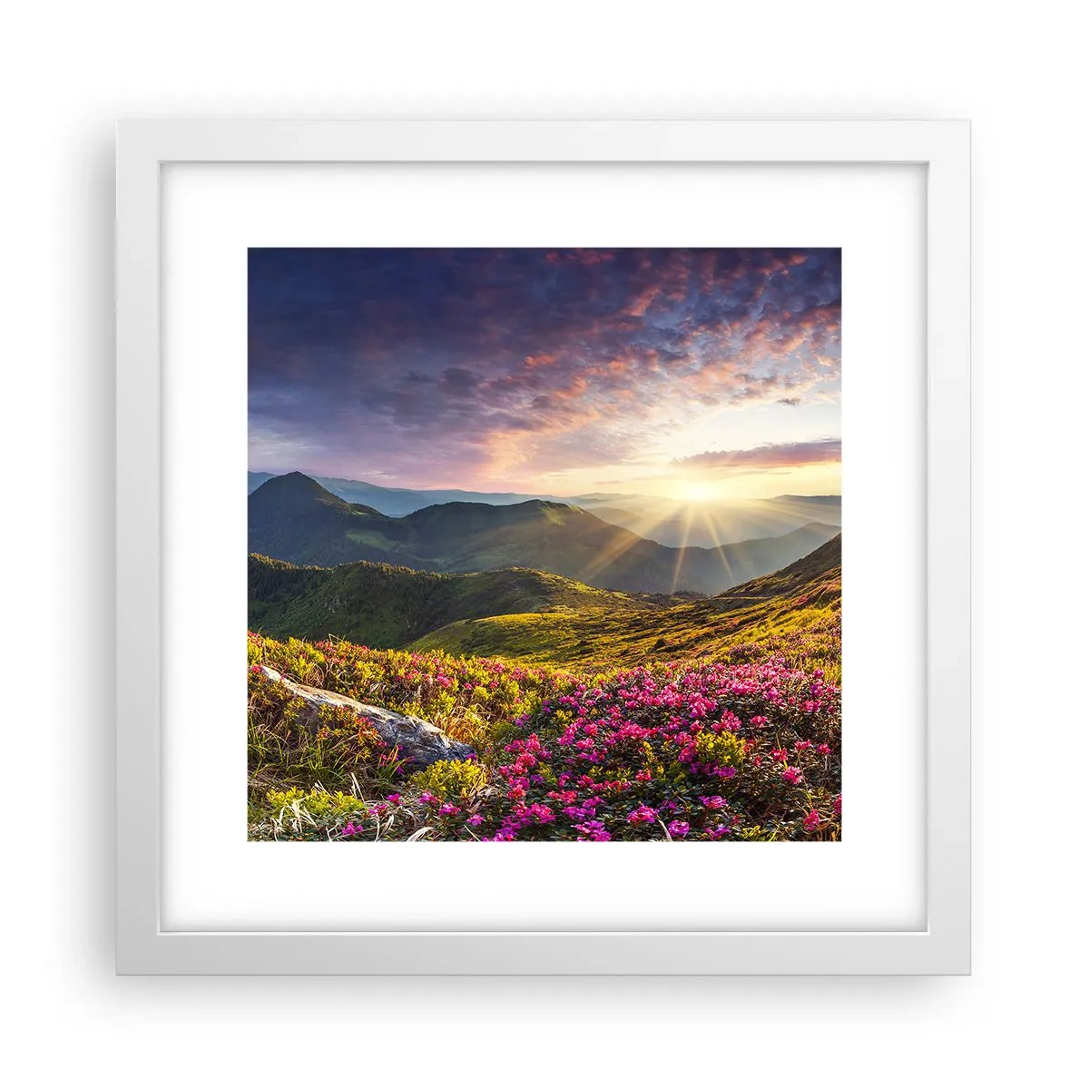 Pôster em moldura branca - A frescura de uma manhã nas montanhas - 30x30 cm