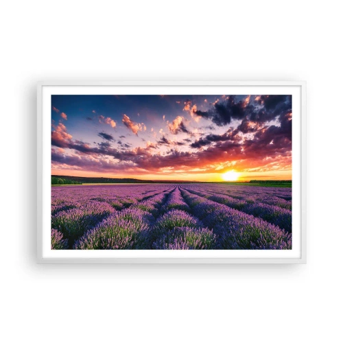 Pôster em moldura branca - O mundo da lavanda - 91x61 cm