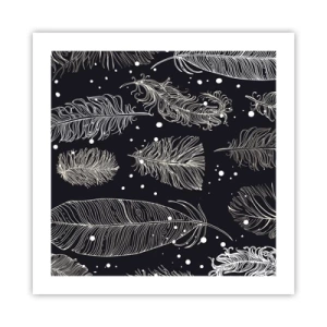 Pôster - Rendas de penas - 50x50 cm
