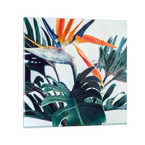 Quadro em vidro - Arbusto de passarinho - 70x70 cm