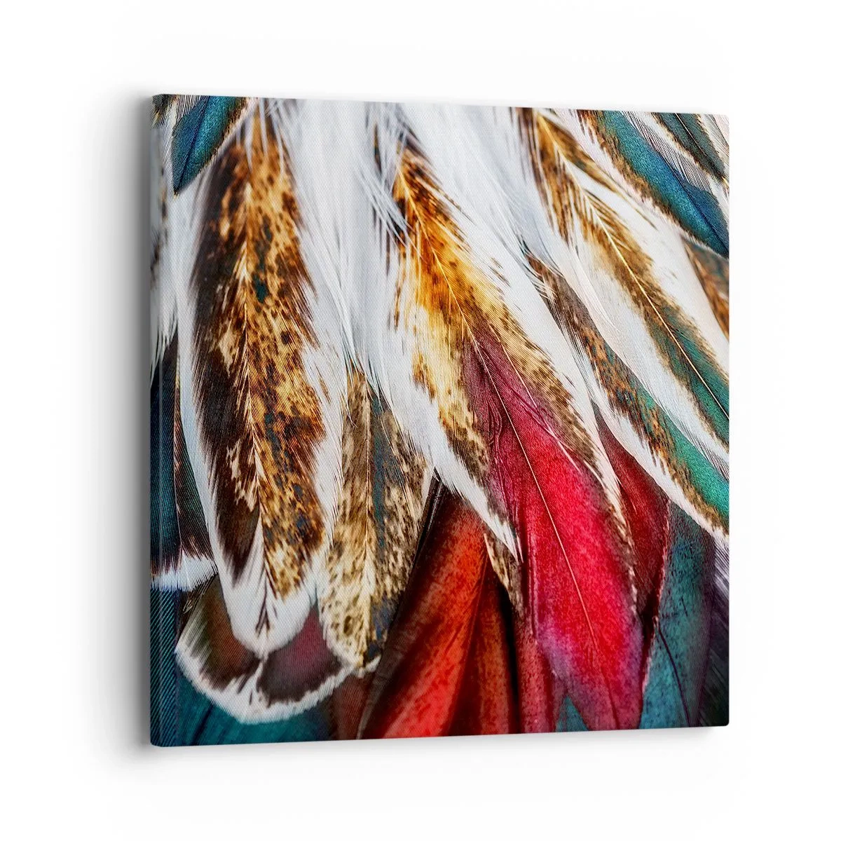 Quadro em tela - Segredos de vôo - 40x40 cm