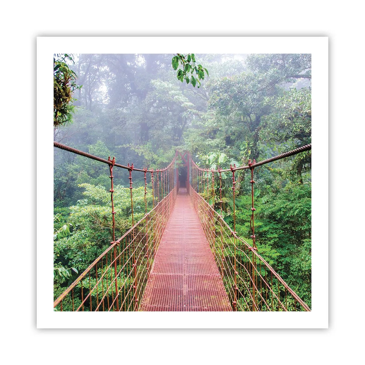 Pôster - Suspenso acima das copas - 60x60 cm