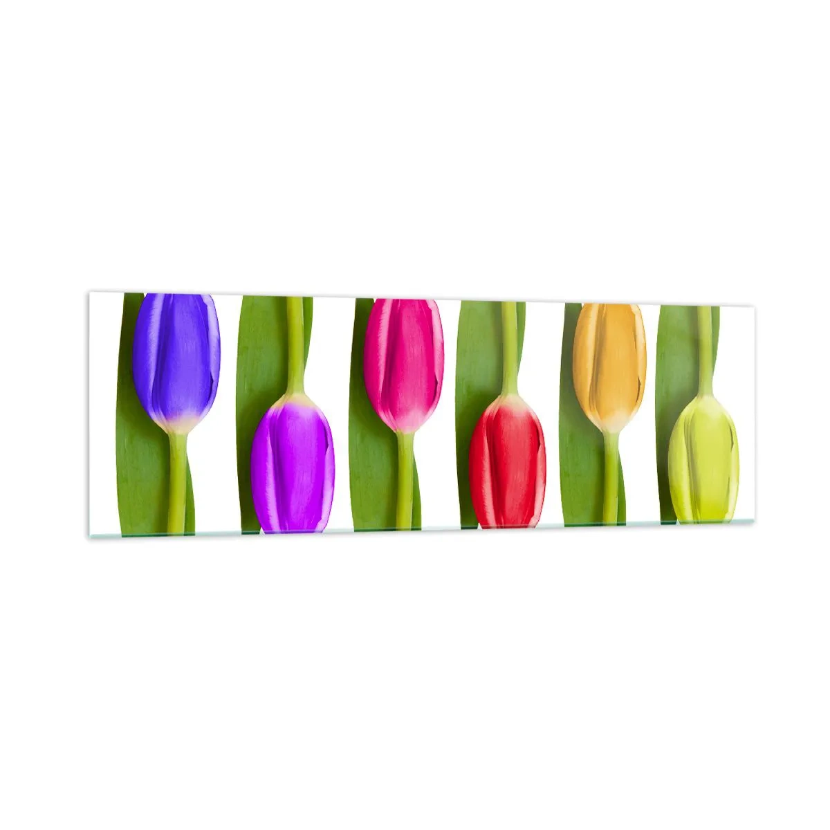 Quadro em vidro - Composição arco-íris - 160x50 cm