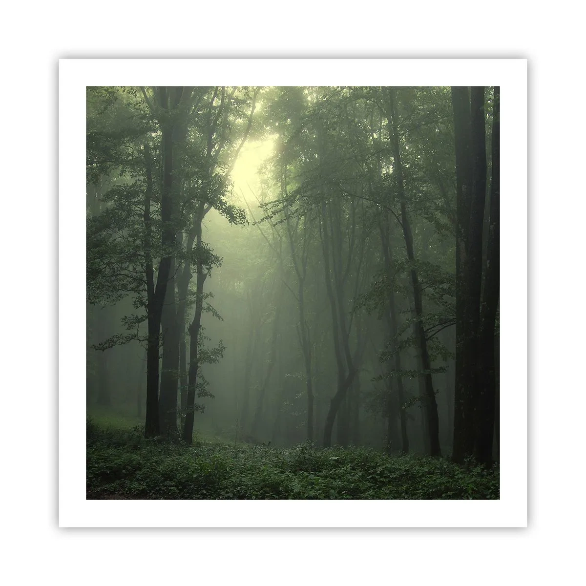Pôster - Antes de acordar - 60x60 cm