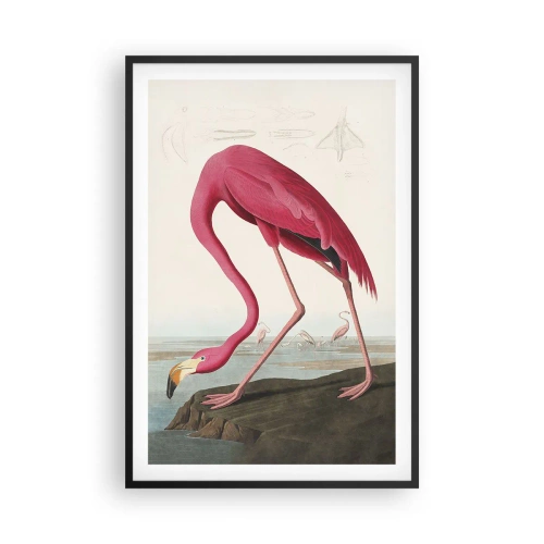 Pôster com moldura preta - Uma criatura surpreendente - 61x91 cm