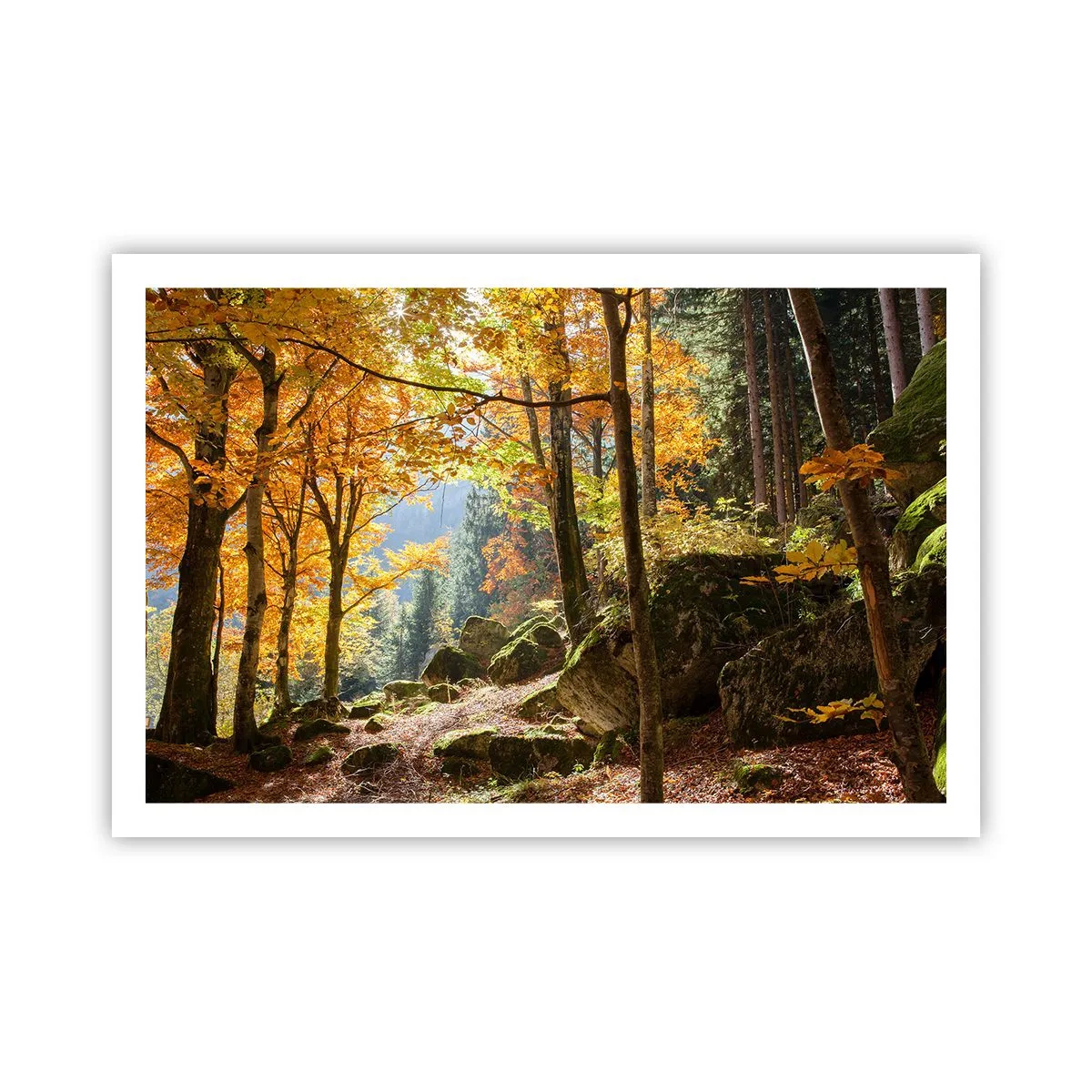 Pôster - Tempo para descansar - 91x61 cm