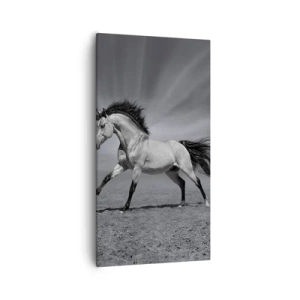 Quadro em tela - Nascido para encantar - 55x100 cm
