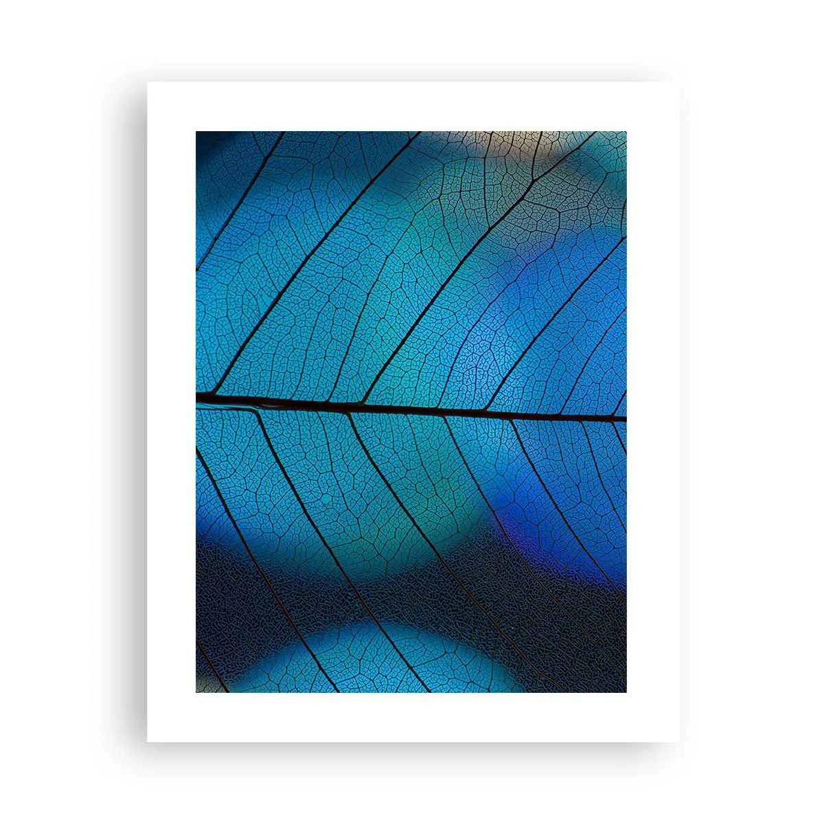 Pôster - Construção complexa - 40x50 cm