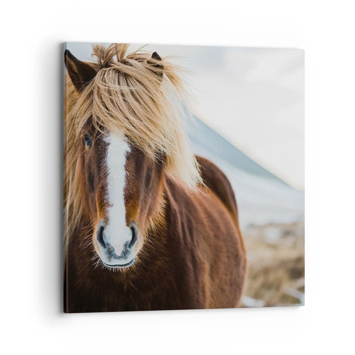 Quadro em tela - Sentes a liberdade? - 70x70 cm