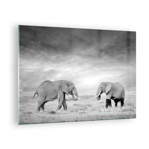 Quadro em vidro - Dois elefantes na savana em tons de preto e branco - 70x50cm - O cinza é belo - Decoração de parede moderna para a sala de estar e quarto ARTTOR