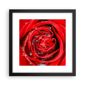 Pôster com moldura preta - Em gotas de orvalho - 30x30 cm