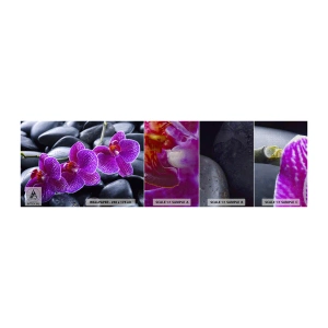 Amostra de papel de parede Premium Canvas - As pedras de iluminaram de deleite - Flores, Pedras, Orquídea - 100x30 cm
