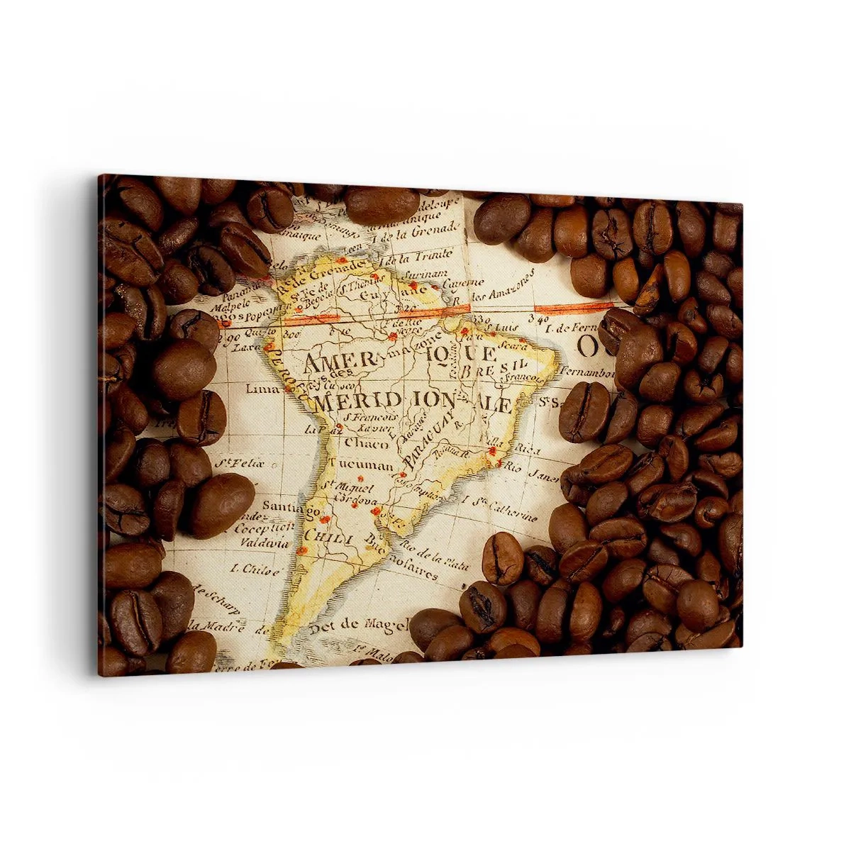Quadro em tela - De onde vem o melhor café? - 100x70 cm