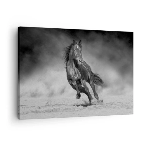 Quadro em tela - Um cavalo preto e branco galopando pela areia - 70x50cm - Digno do próprio emir - Decoração de parede moderna para a sala de estar e quarto ARTTOR