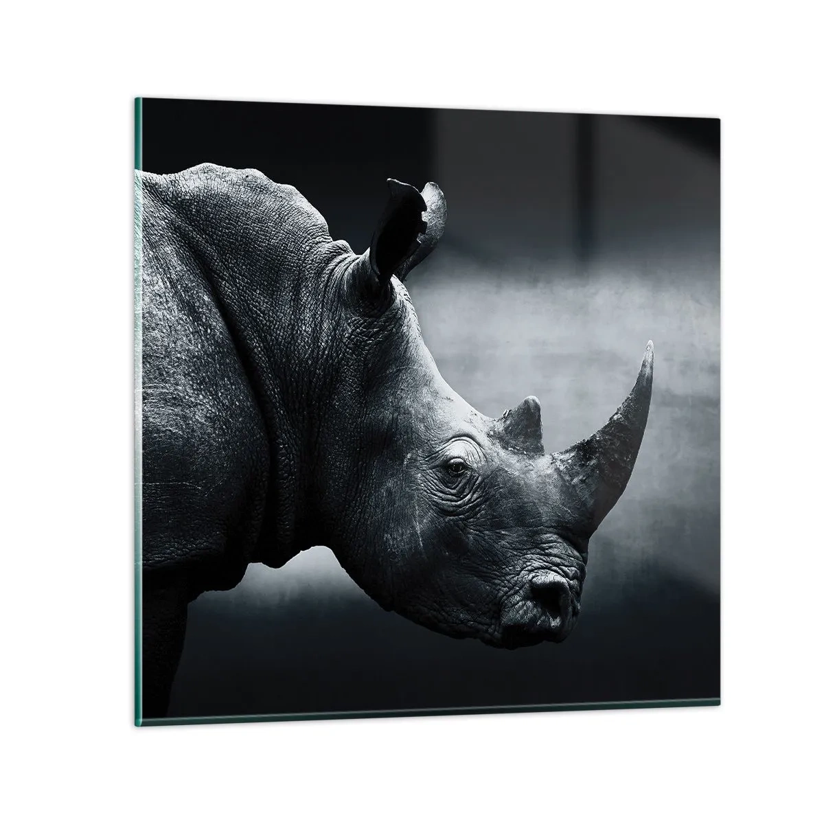 Quadro em vidro - Perfil direito - 60x60 cm