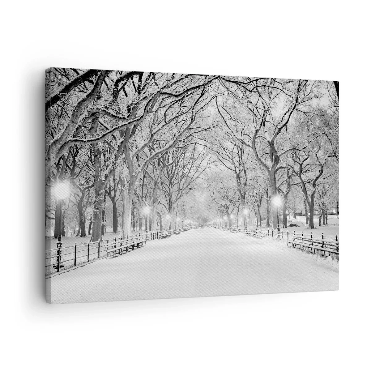 Quadro em tela - Um beco de inverno com árvores cobertas de neve em monocromático - 70x50cm - Quatro estações - inverno - Decoração de parede moderna para a sala de estar e quarto ARTTOR