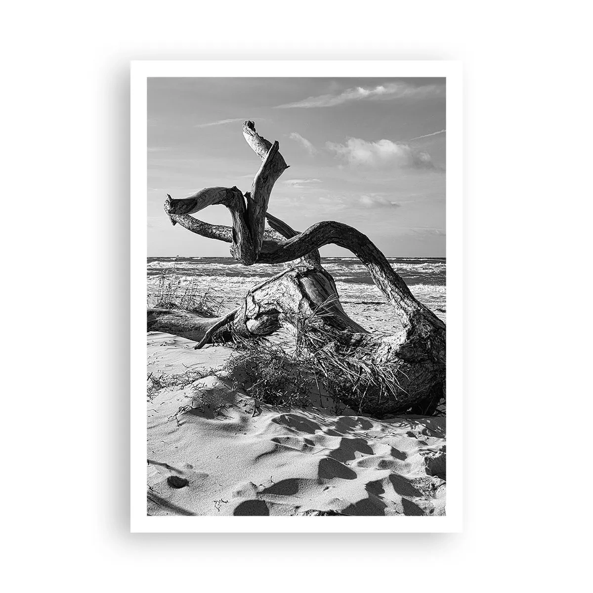 Pôster - Escultura do mar - 70x100 cm