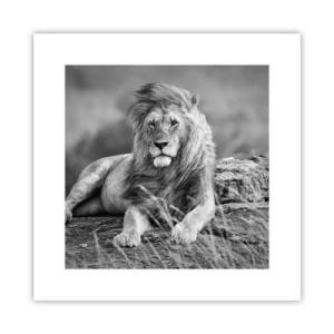 Pôster - Sesta real - 30x30 cm