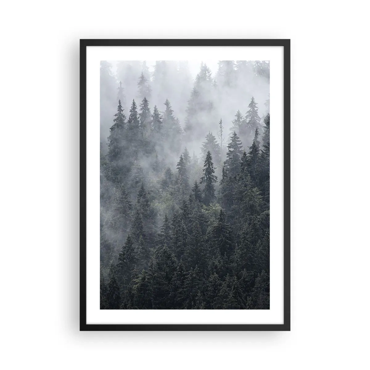 Pôster com moldura preta - Uma floresta enevoada com altas árvores coníferas - 50x70cm - O amanhecer da floresta - Decoração de parede moderna para a sala de estar e quarto ARTTOR