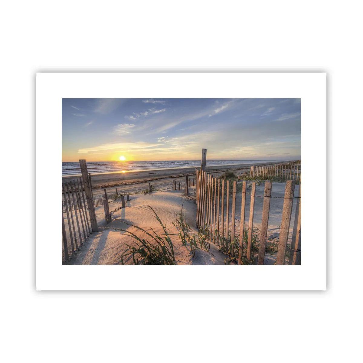 Pôster - Brilho e sombra do vento - 40x30 cm