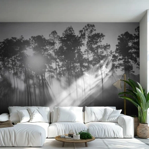 Papel de Parede Premium Sand - O sol imparável - Paisagem, Floresta, Natureza - 100x70 cm