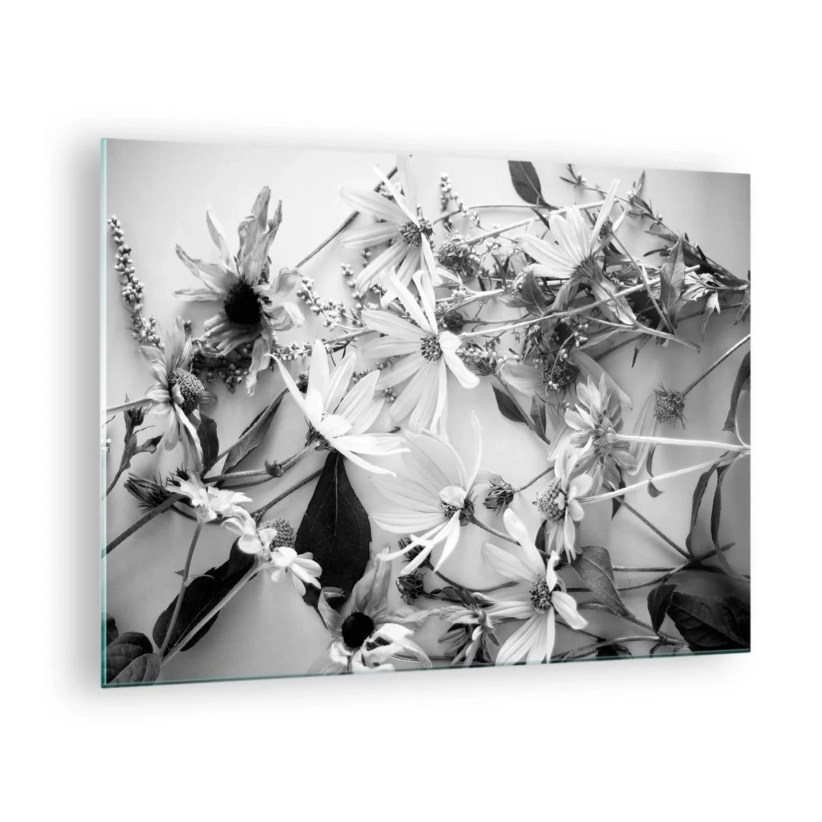 Quadro em vidro - Flores pretas e brancas espalhadas em um arranjo artístico - 70x50cm - Não é um ramo de flores - Decoração de parede moderna para a sala de estar e quarto ARTTOR