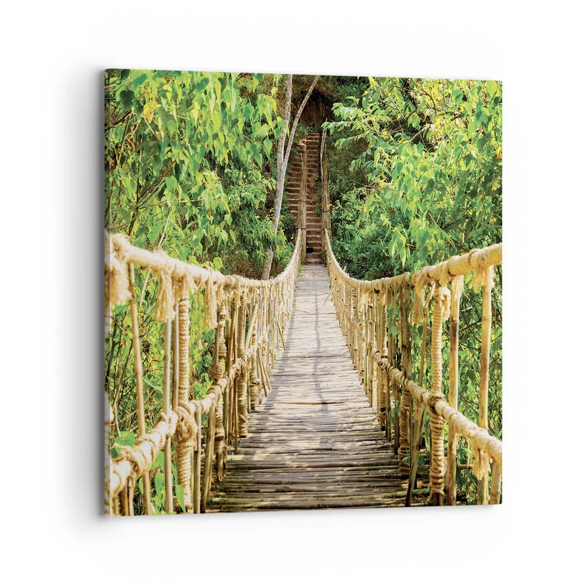 Quadro em tela - Suspenso na vegetação - 70x70 cm