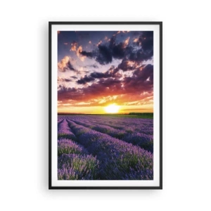 Pôster com moldura preta - O mundo da lavanda - 61x91 cm