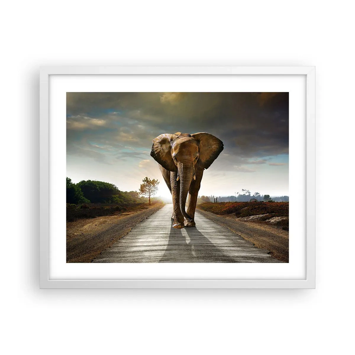 Pôster em moldura branca - Não faz parte da composição da porcela - 50x40 cm