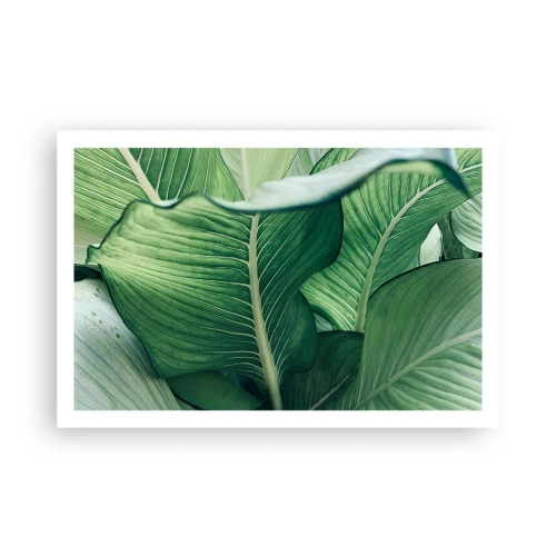 Pôster - Vida intensamente verde - 91x61 cm