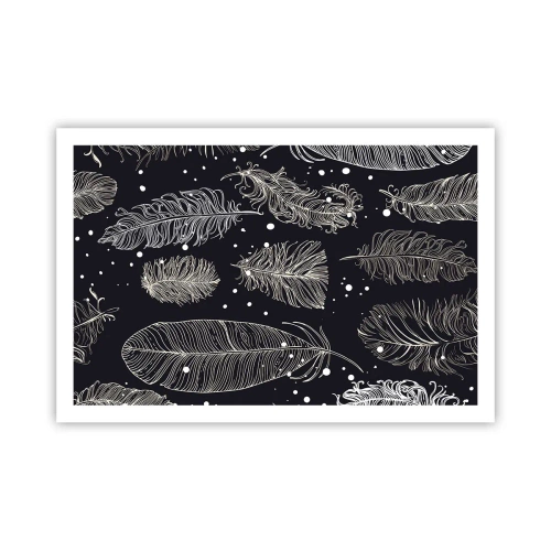 Pôster - Rendas de penas - 91x61 cm