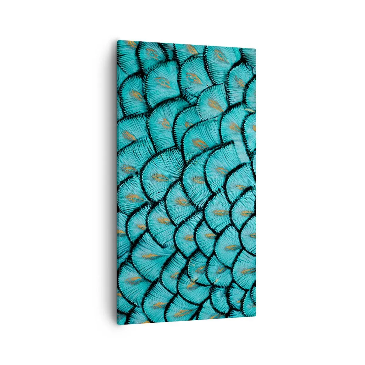 Quadro em tela - A grande gala de penas - 55x100 cm