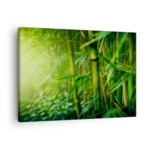 Quadro em tela - Floresta de bambu verde em luz suave - 70x50cm - Conheça a vegetação  - Decoração de parede moderna para a sala de estar e quarto ARTTOR