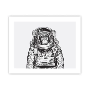 Pôster - Evolução alternativa - 50x40 cm