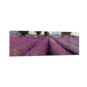 Quadro em vidro - Prados de lavanda - 160x50 cm
