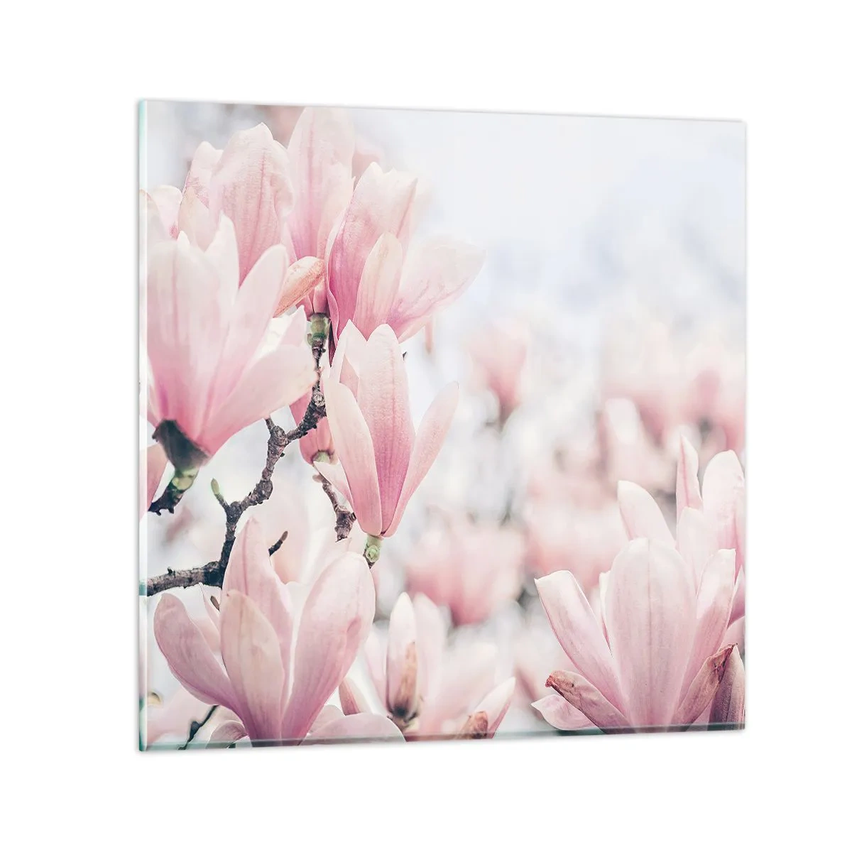 Quadro em vidro - O ideal da subtileza - 70x70 cm