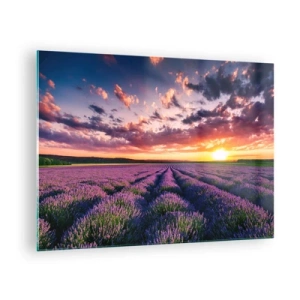 Quadro em vidro - Um campo de lavanda ao pôr do sol com um céu colorido e nuvens - 70x50cm - O mundo da lavanda - Decoração de parede moderna para a sala de estar e quarto ARTTOR