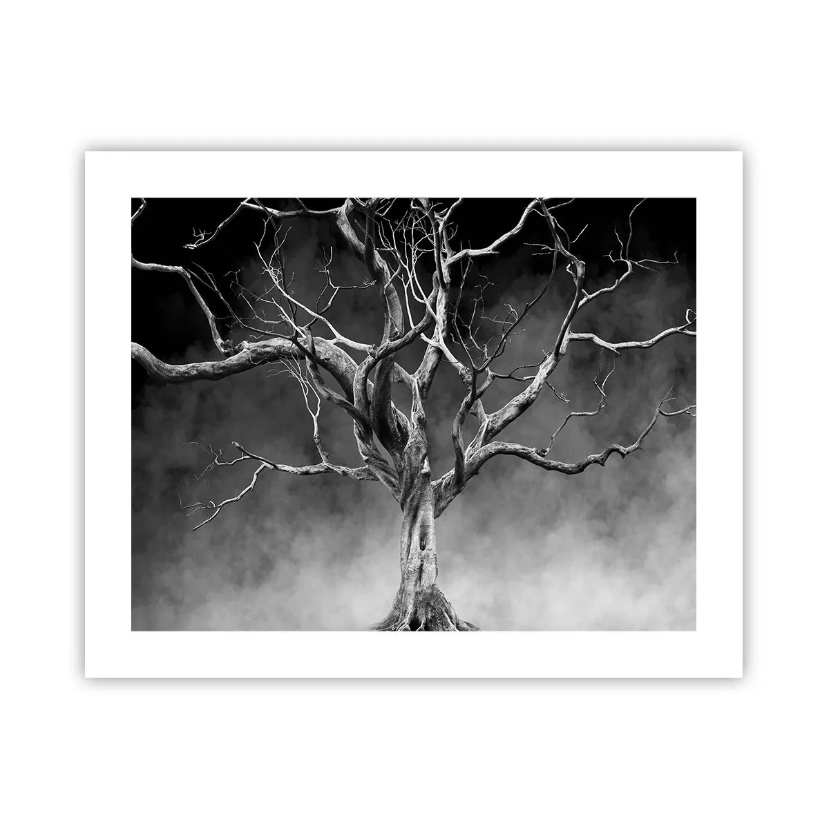 Pôster - Primitivo e sagrado - 50x40 cm