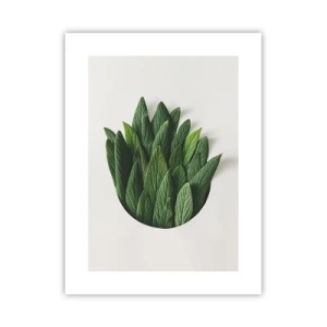 Pôster - Curiosidade indomável - 30x40 cm