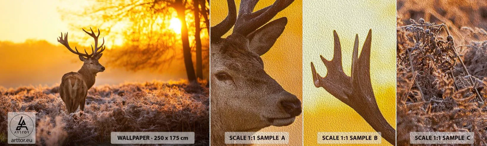 Amostra de papel de parede Premium Sand - Rei da floresta de outono - Paisagem, Cervo, Natureza - 100x30 cm