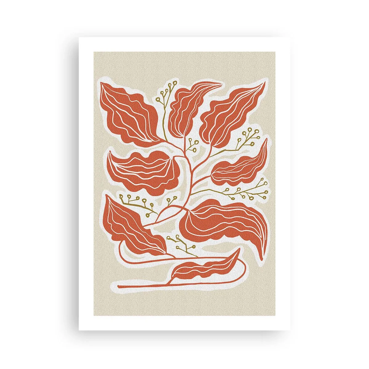 Pôster - Folclórico e coral - 50x70 cm