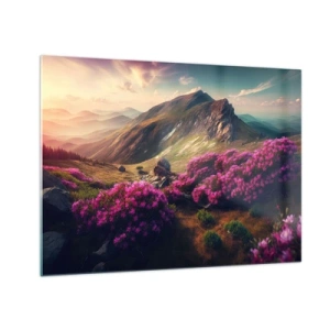 Quadro em vidro - Paisagem montanhosa de verão com urze rosa florescendo - 70x50cm - Verão nas montanhas - Decoração de parede moderna para a sala de estar e quarto ARTTOR