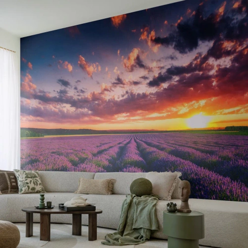 Papel de Parede Premium Sand - O mundo da lavanda - Paisagem, Campo de Lavanda, Lavanda - 500x350 cm