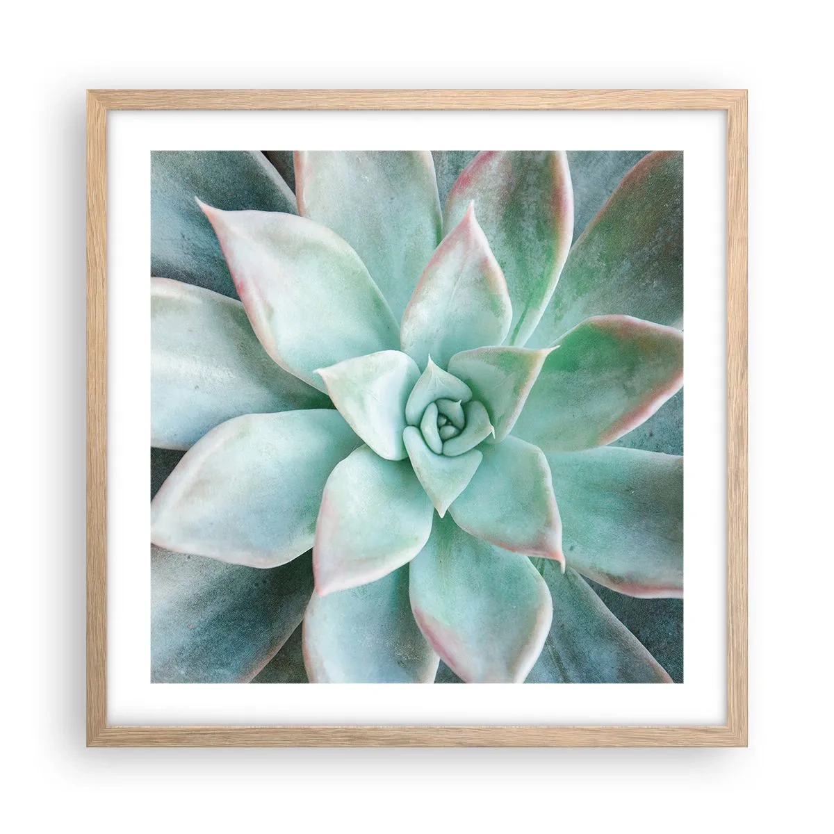 Pôster com moldura de carvalho claro - O coração do deserto - 50x50 cm
