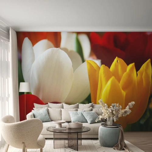 Papel de Parede Premium Sand - Febre das tulipas - Flores, Tulipas, Buquê de flores - 150x105 cm