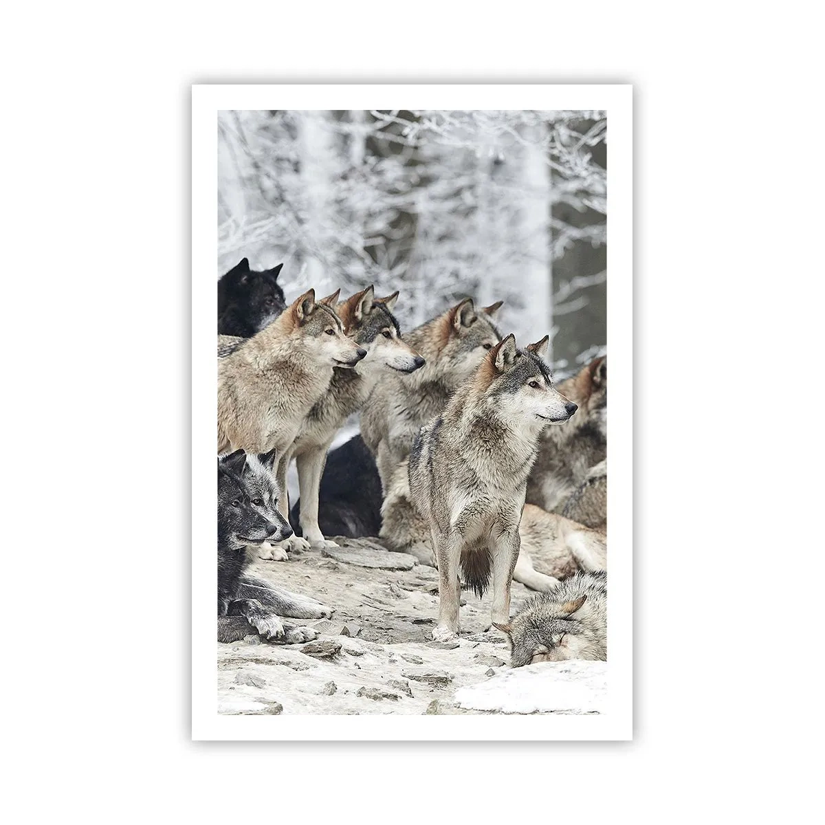 Pôster - Família e amigos - 61x91 cm