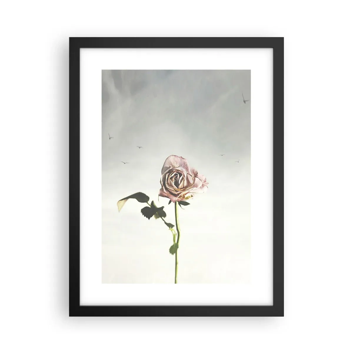 Pôster com moldura preta - Boas-vindas da primavera - 30x40 cm