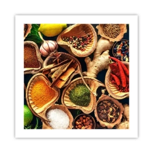 Pôster - Leve o que quiser - 50x50 cm